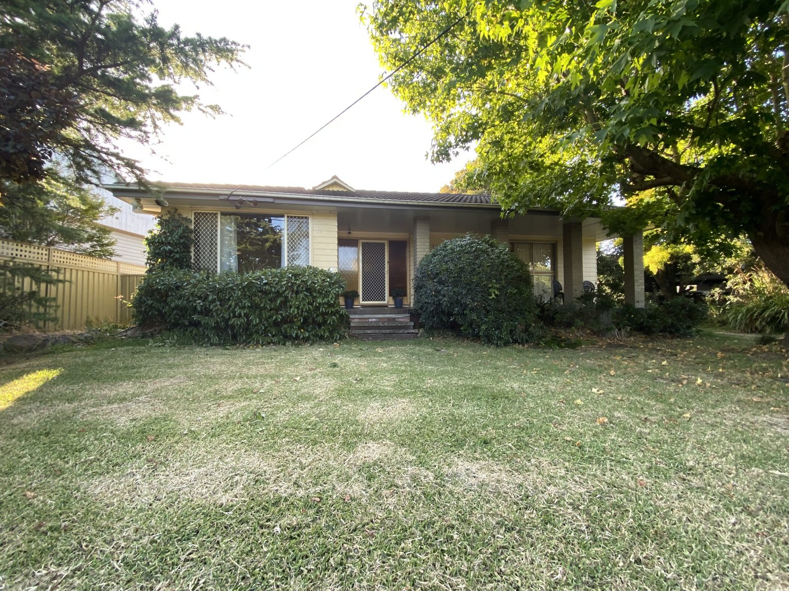 6 Kotara front