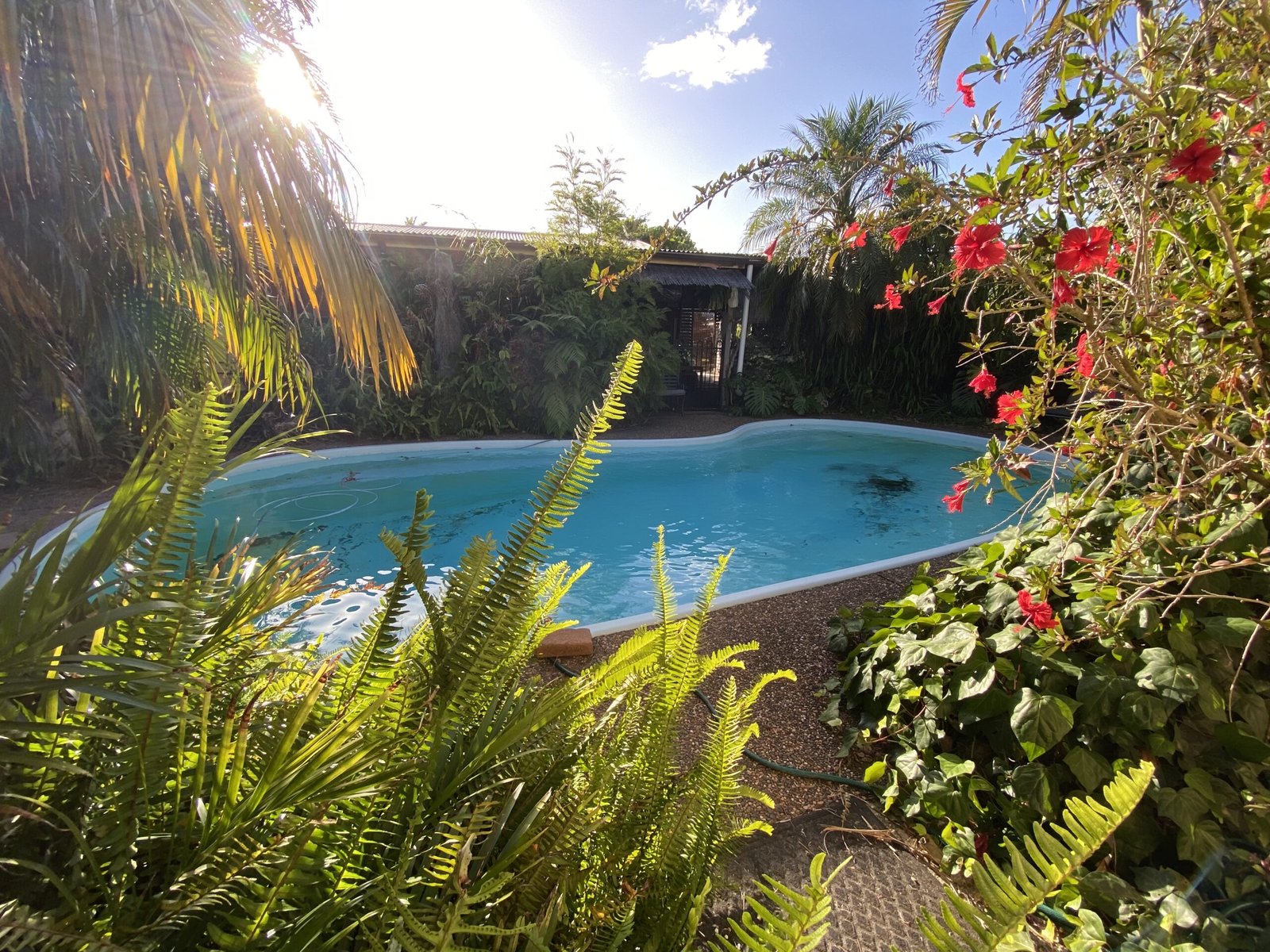 6 kotara pool